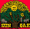 Sun Oak Drawing by Lloyd Sensat